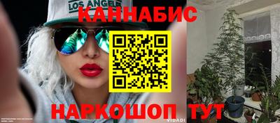 стаф Нальчик
