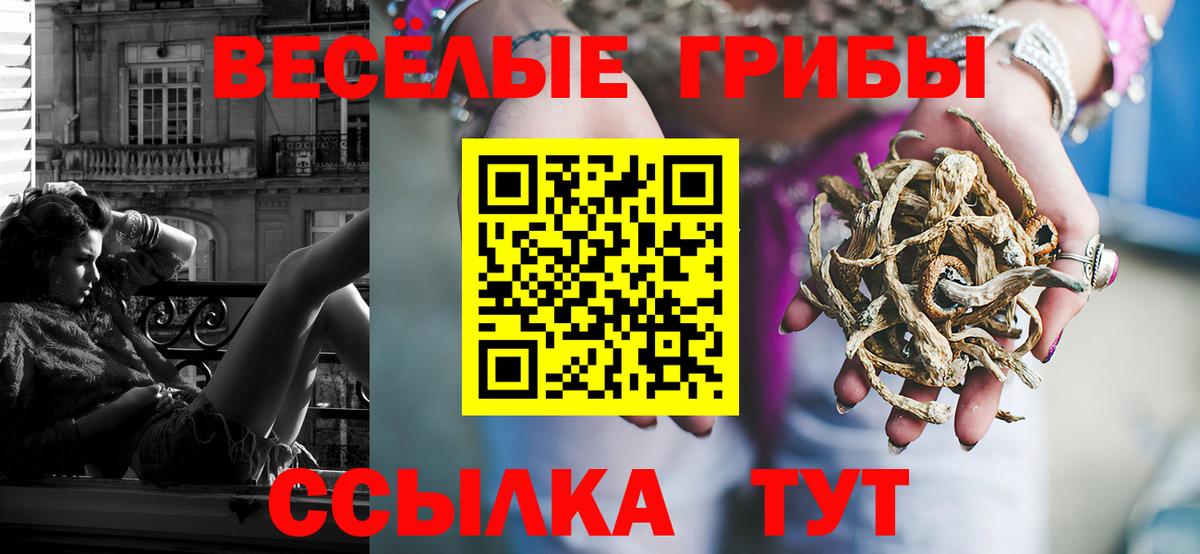 Псилоцибиновые грибы прущие грибы  Вход с VPN  Соликамск 